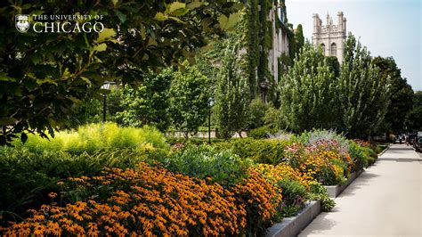 Campus Zoom Backgrounds Uchicago Creative