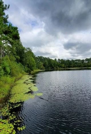 Waccamaw Wildlife Refuge - Go Wandering