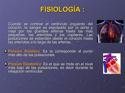 Signos Vitales Respiración Y Presión Arterial Ppt