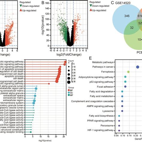 Identification Of Differentially Expressed Pcd Related Genes And Their