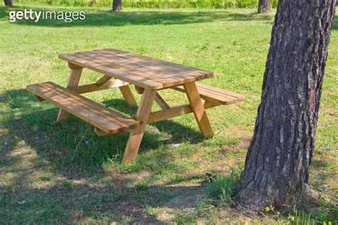 New Empty Pine Wood Picnic Table On A Green Meadow In A Public Park