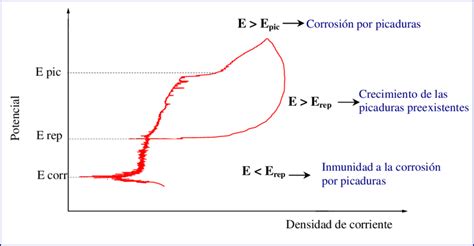 Curva De Polarizaci N C Clica En La Que Se Alan Los Potenciales
