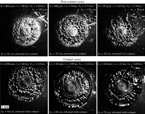 Comparison Of Cavitation Structures Observed Underneath Impacts From