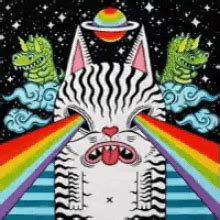 Flying Cat Meme Rainbow