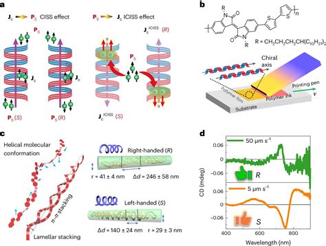 Printed Polymer Allows Researchers To Explore Chirality And Spin