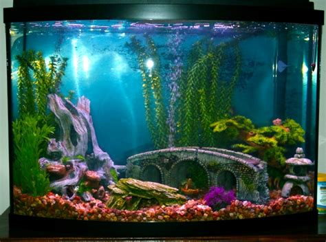 How To Make Your Own Fish Tank Decor At Robert Matteo Blog