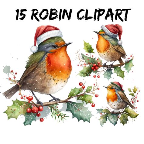 15 Robin Clipart, Robin on Christmas Branch Watercolor, Christmas Robin ...