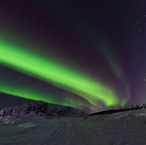 2019 Alaskan Northern Lights Forcast Hot Sale