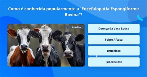 Como É Conhecida Popularmente
