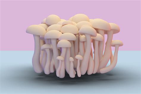 Can Mushrooms Help Enhance Your Sex Life We Explore The Latest Libido Boosting Trend Flipboard