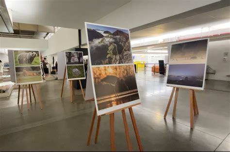 Sabina Recebe Exposi O Fotografias Premiadas De Pa Ses Da Europa