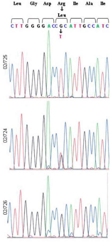 The DNA Sequence Of ABCA4 Codons 1126 To 1132 In The Index Patient And