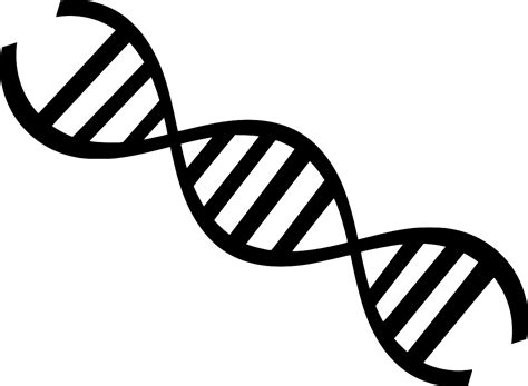 svg double dna microbiology rna  svg image icon svg silh