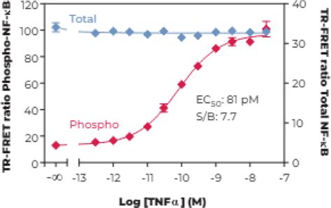 THUNDER™ Total NF-kB TR-FRET Cell Signaling Assay Kit