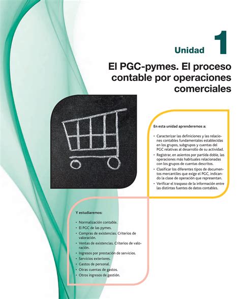 TEMA 1 Contabilidad Y Fiscalidad Unidad 1 El PGC Pymes El Proceso