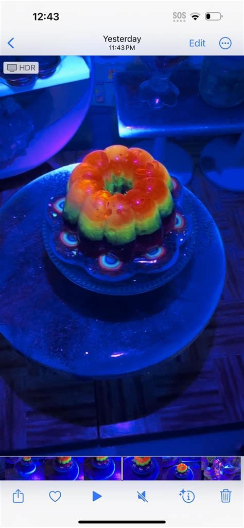 🌈neon Glow In The Dark Rainbow Jello Remix 🌈 R Miniverse Makeitmini