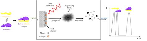 Molecules Free Full Text Insight To Functional Conformation And