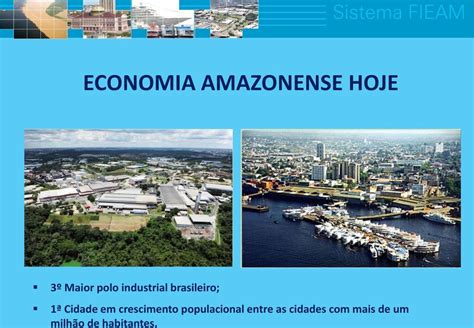 Sistema Fieam A Import Ncia Do Modelo De Desenvolvimento Zfm Para A