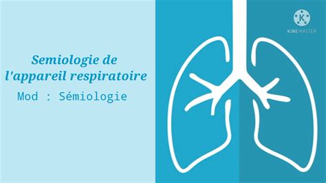 S Miologie De L Appareil Respiratoire Youtube