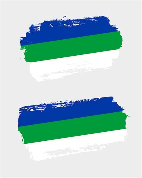 Premium Vector Set Of Two Creative Brush Painted Flags Of Komi