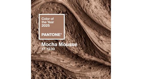 PANTONE 17 1230 MOCHA MOUSSE IL COLORE DEL 2025