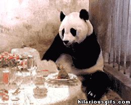 funny panda panda gif | WiffleGif