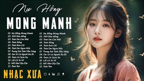 Nh C Lofi X X Nh C X A Chill Nh Nh Ng Top Nh C Tr X A Hot Tiktok Nh C Chill Hot Tiktok