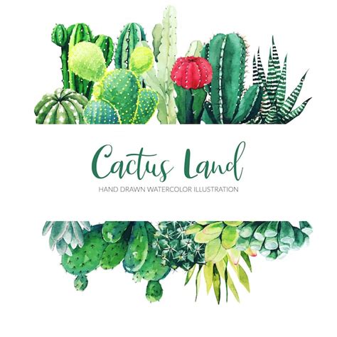 Banner Horizontal Con Acuarela Cactus Y Plantas Suculentas Vector Premium