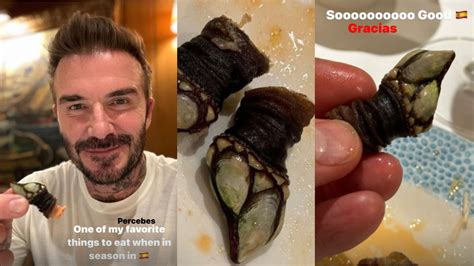 David Beckham Se Deleita Con Los Percebes Del Cocinero Gallego Moncho Neira