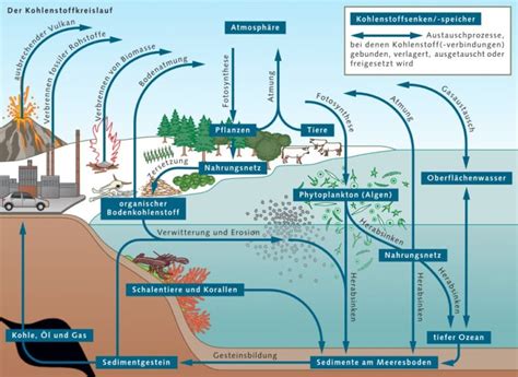 Wie Der Ozean Kohlendioxid Aufnimmt World Ocean Review