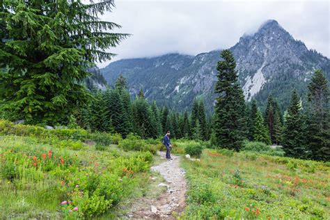 Ski Slope Hiking Near Snoqualmie Pass - Roadesque