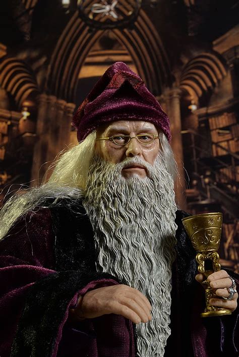 Harry Potter Dumbledore sixth scale action figure | Harry potter, Harry ...