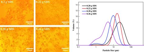 Optical microscopy images (left) and size distribution (right) of ...