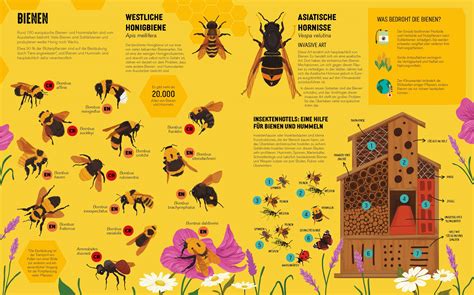 Neuerscheinung Atlas Der Bedrohten Tiere Midas Kinderbuch Midas