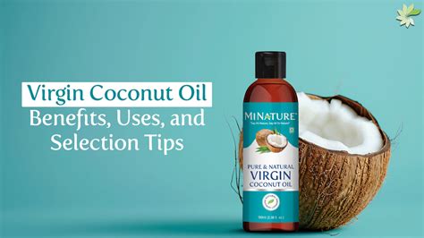 Virgin Coconut Oil Benefits Uses And Selection Tips Minaturewellness