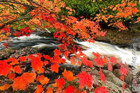 Ethan Meleg - Nature Photography Blog: Muskoka fall colours ...