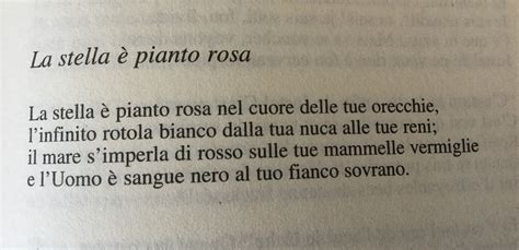 La poesia del giorno Létoile a pleuré rose Arthur Rimbaud