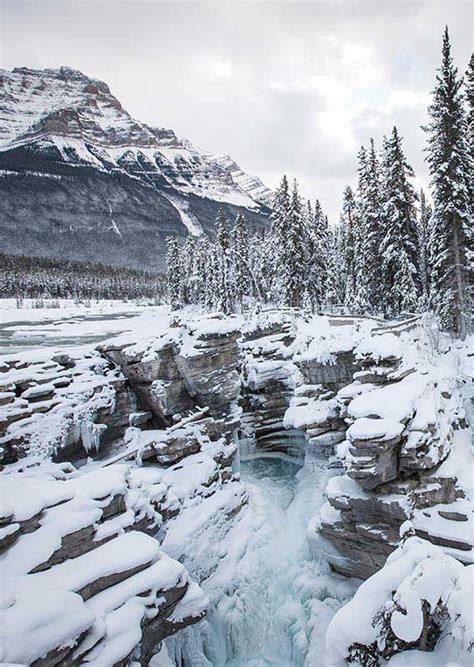 Jasper Tours, Activities & Attractions | Banff Jasper Collection