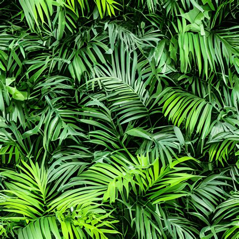 Plantas exuberantes da selva flores exóticas folhas verdes grandes