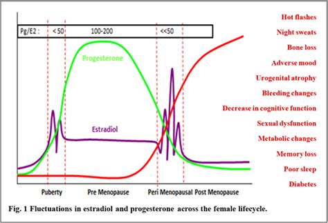 Mood and Menopause – Going Through "The Change" - ZRT Laboratory