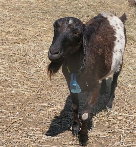 The Hutchinson News - Home