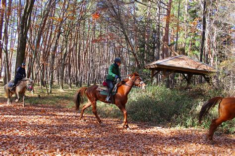 2018年第1回絶景外乗 カナディアンキャンプ八ヶ岳 最新情報 カナディアンキャンプ乗馬クラブ 福岡・八ヶ岳・北海道での乗馬は当クラブへ