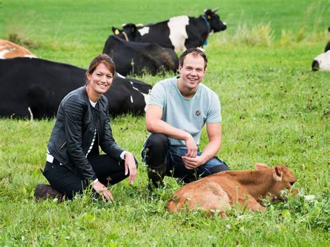 Doorbraak Kalf Bij Koe Melk In Supers En Biowinkels Kalfjes Bij De Koe