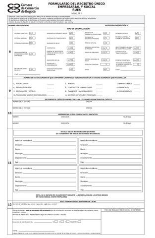 Formulario Del Registro Nico Empresarial Y Social Rues By Luis