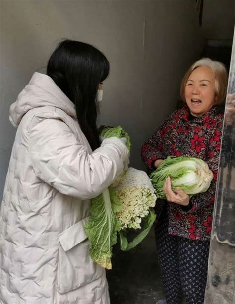 残联“她力量” 战疫“花木兰” 澎湃号·政务 澎湃新闻 The Paper