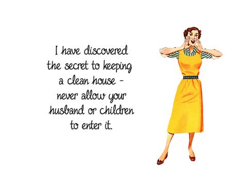 Funny House Cleaning Quotes Meme Image 20 | QuotesBae