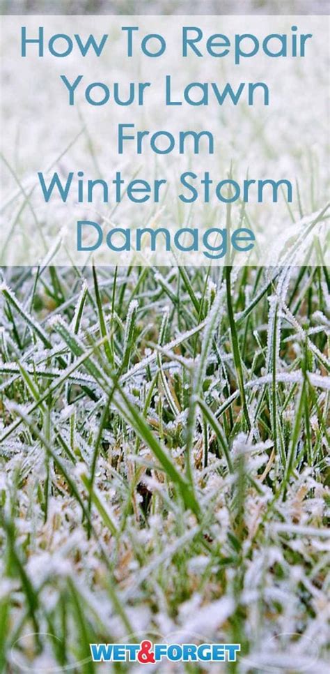 Repairing Winter Storm Damage in Your Lawn and Landscape | Life's Dirty. Clean Easy.