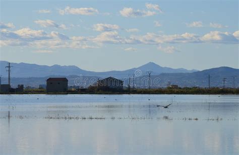 El Parque Natural Albufera Un Humedal De Importancia Internacional En