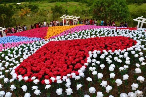 6 Most Beautiful Flower Gardens In The Philippines