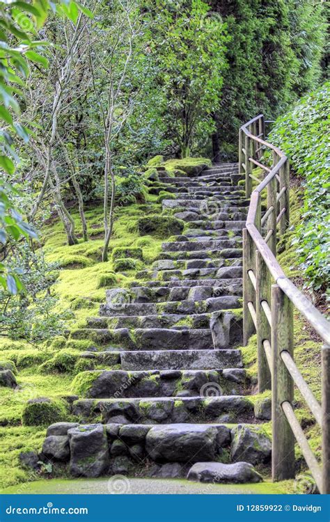 Stone Stairs At Japanese Garden Stock Photo Image Of Moss Forest